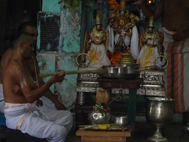 Mylapore Adhikesava perumal temple Choornabhishekam 2014 -8