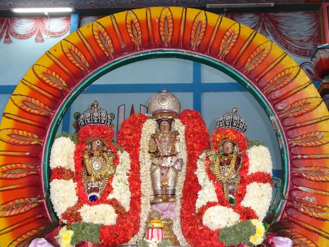 Mylapore Adhikesava perumal temple Surya Prabhai 2014 -04
