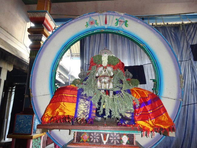 Mylapore Adhikesava perumal temple Surya Prabhai 2014 -09