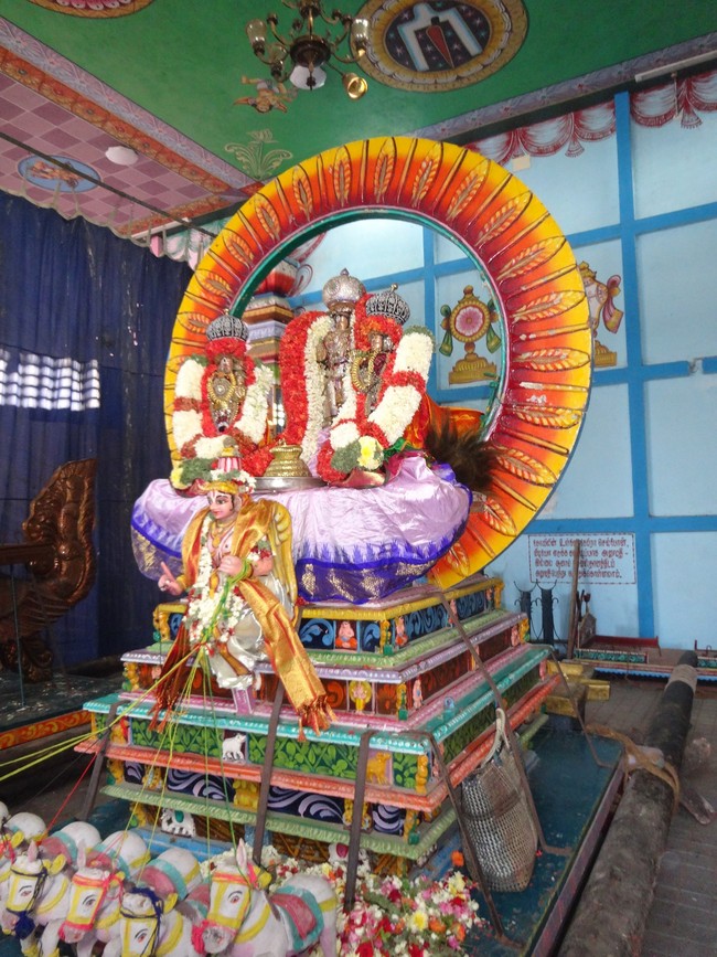 Mylapore Adhikesava perumal temple Surya Prabhai 2014 -13