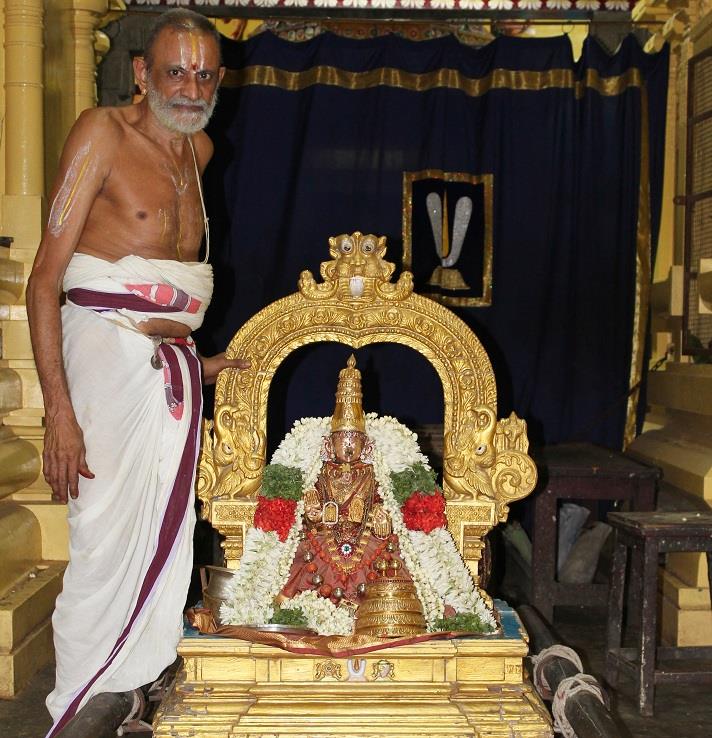 Mylapore SVDD  Panguni Uthram THayar Purappadu 2014 -11
