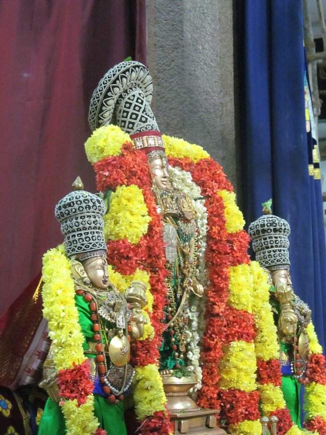 Mylapore SVDD Sannidhi Kulasekara azhwar Purappadu 2014 -04
