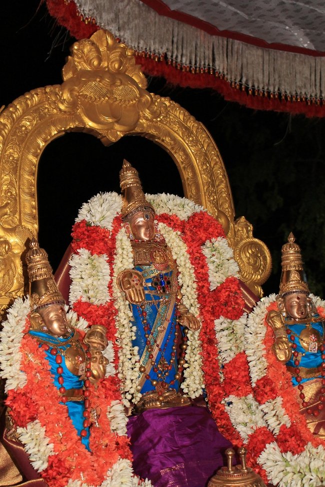 Mylapore SVDD Srinivasa Perumal Koil Panguni Maasam Ammavasai Purappadu 30-03-201402