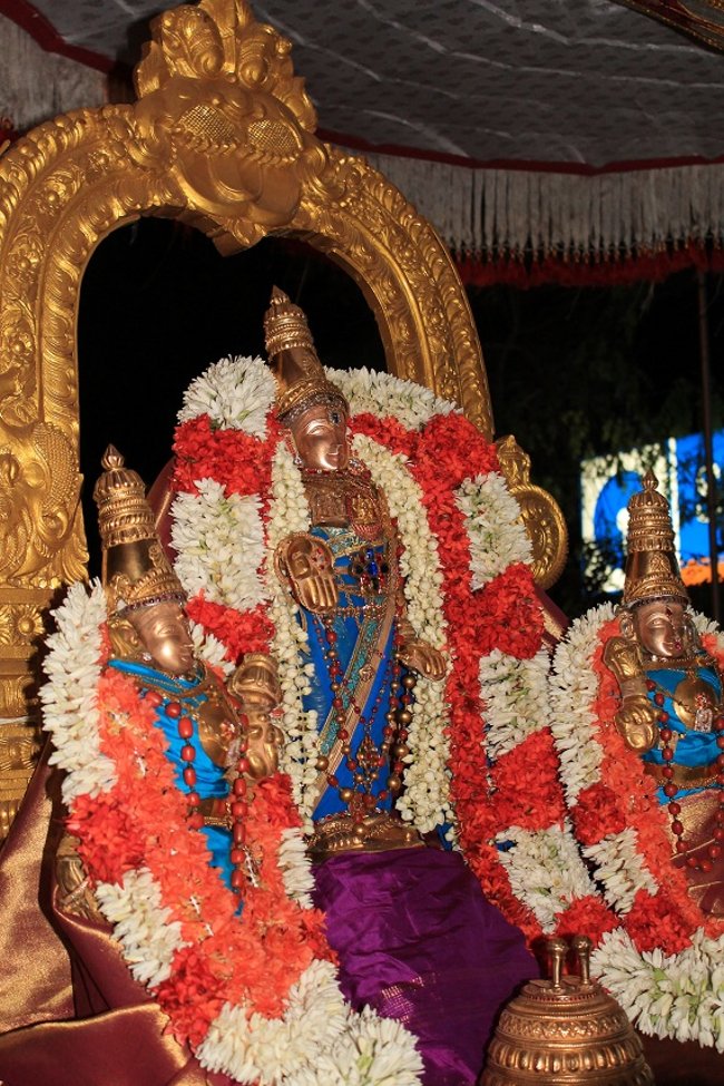 Mylapore SVDD Srinivasa Perumal Koil Panguni Maasam Ammavasai Purappadu 30-03-201403