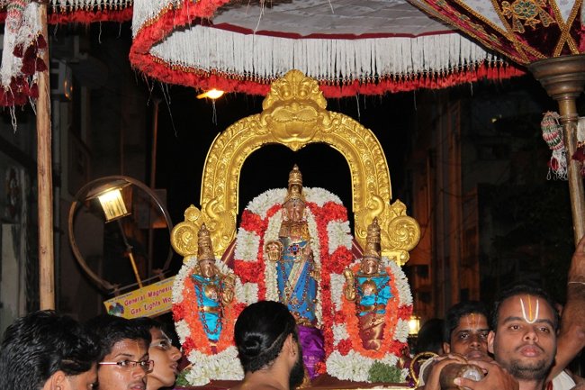 Mylapore SVDD Srinivasa Perumal Koil Panguni Maasam Ammavasai Purappadu 30-03-201404
