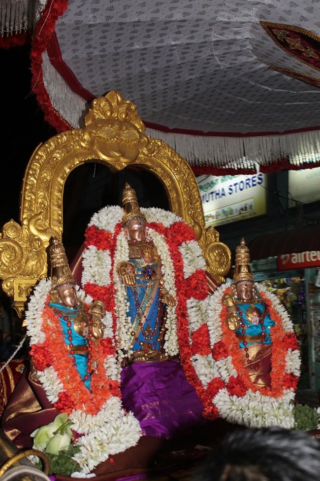 Mylapore SVDD Srinivasa Perumal Koil Panguni Maasam Ammavasai Purappadu 30-03-201408