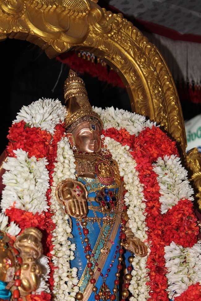 Mylapore SVDD Srinivasa Perumal Koil Panguni Maasam Ammavasai Purappadu 30-03-201409