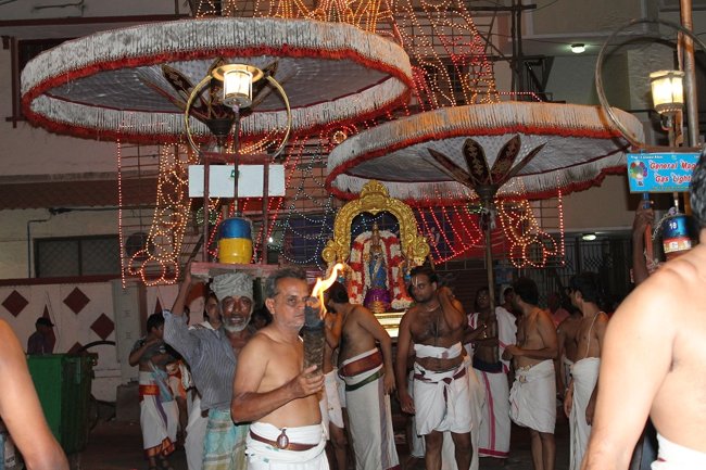 Mylapore SVDD Srinivasa Perumal Koil Panguni Maasam Ammavasai Purappadu 30-03-201412