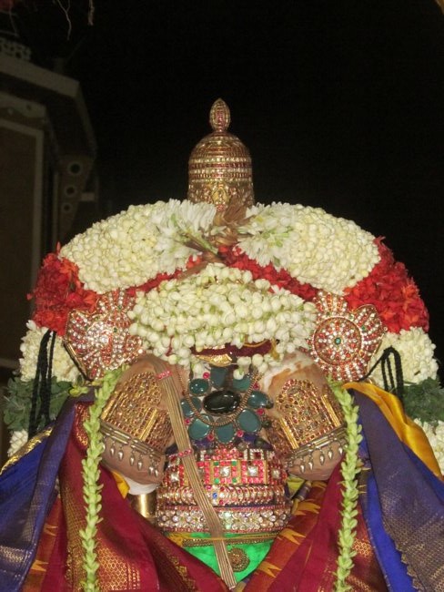 Mylapore SVDD Srinivasa Perumal Koil Ugadhi Purappadu 31-03-2014  13