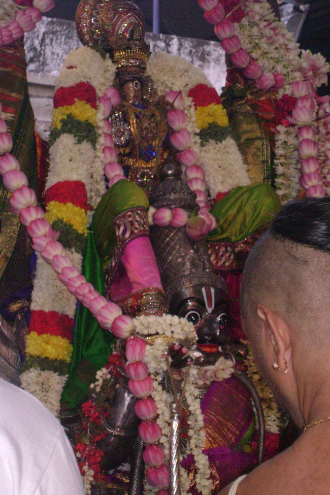 Mylapore Sri Adhikesava Perumal Brahmotsavam Garuda vahanam 2014 -11