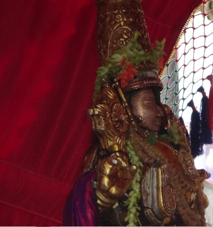 Mylapore Sri Adhikesava Perumal Temple Brahmotsavam Porvai Kalaithal2014 -03
