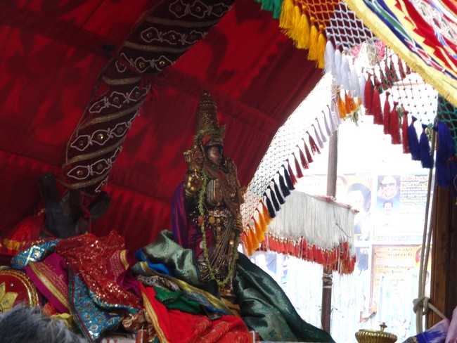 Mylapore Sri Adhikesava Perumal Temple Brahmotsavam Porvai Kalaithal2014 -18