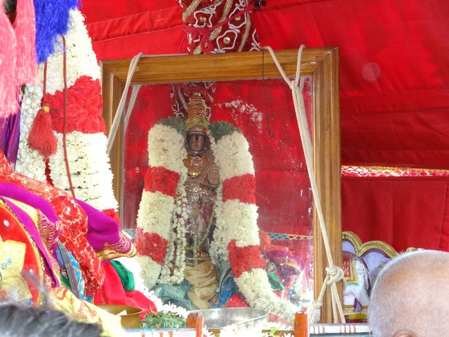 Mylapore Sri Adhikesava Perumal Temple Brahmotsavam Porvai Kalaithal2014 -21