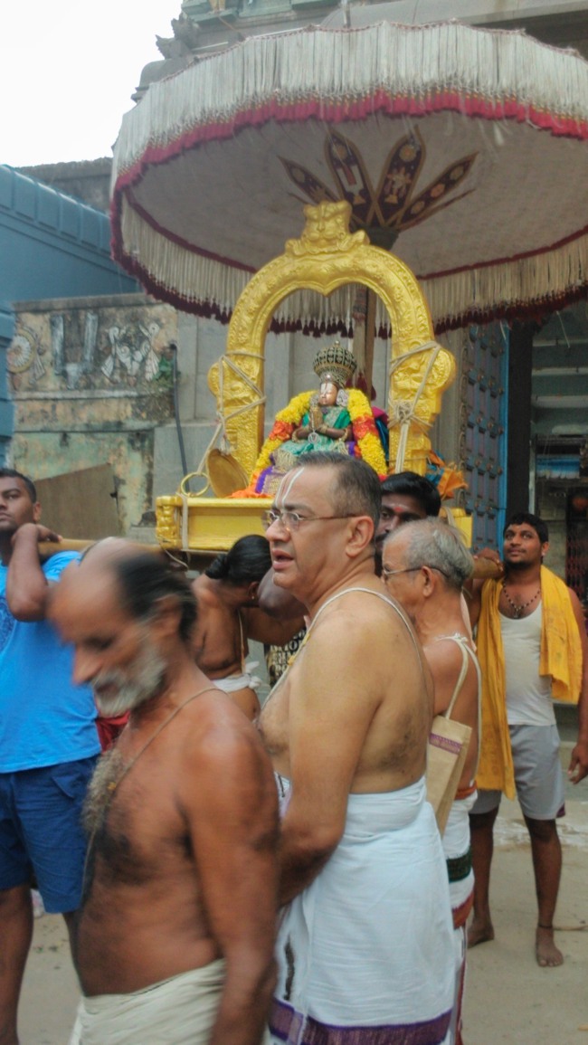 Mylapore Sri Adhikesava Perumal Temples Thirukachi Nambi Thirunakshatra Purappadu 2014--01