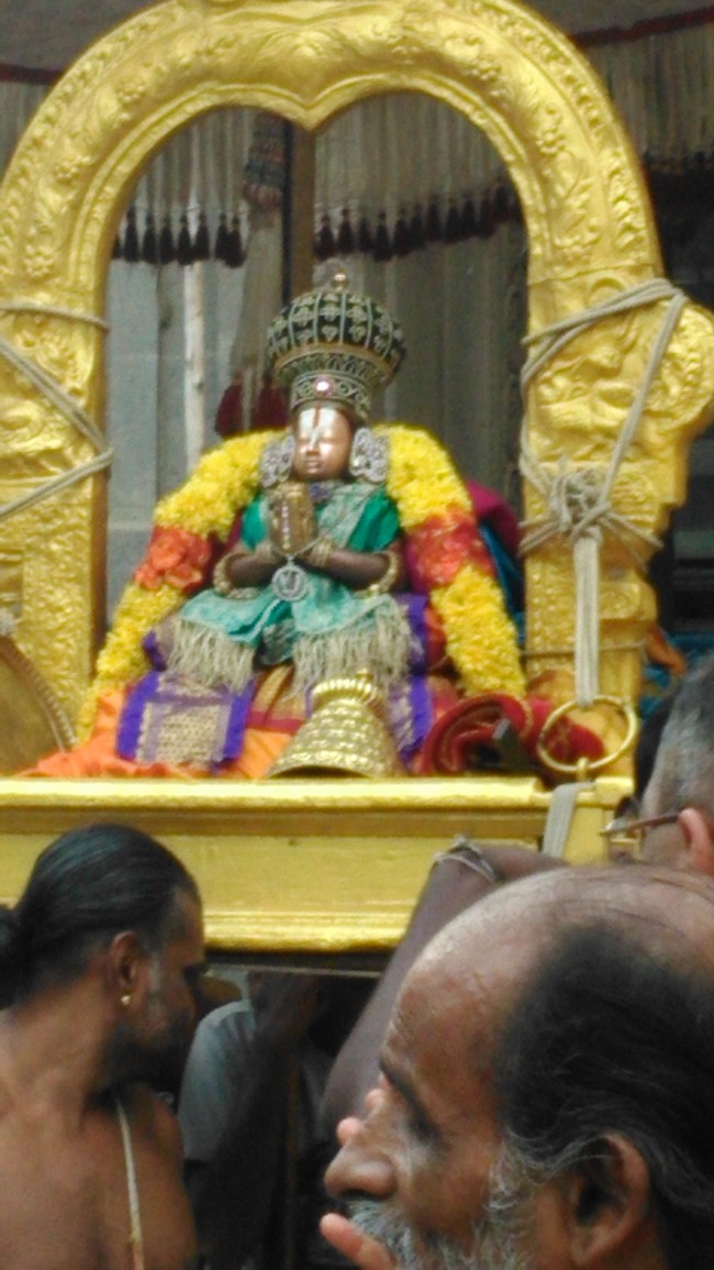Mylapore Sri Adhikesava Perumal Temples Thirukachi Nambi Thirunakshatra Purappadu 2014--05