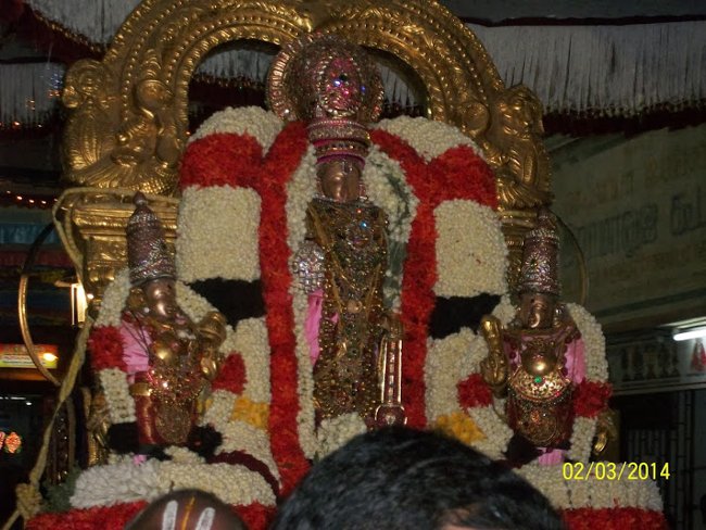 Mylapore Sri Vedantha Desikar Devasthanam Annakoota Uthsavam  Evening Purapadu 02-03-2014 02
