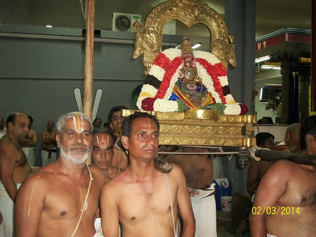 Mylapore Sri Vedantha Desikar Devasthanam Annakoota Uthsavam  Evening Purapadu 02-03-2014 13