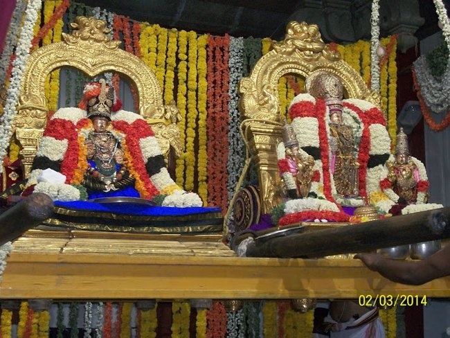 Mylapore Sri Vedantha Desikar Devasthanam Annakoota Uthsavam  Evening Purapadu 02-03-2014 20