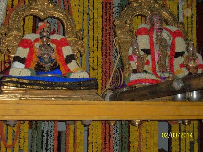 Mylapore Sri Vedantha Desikar Devasthanam Annakoota Uthsavam  Evening Purapadu 02-03-2014 22