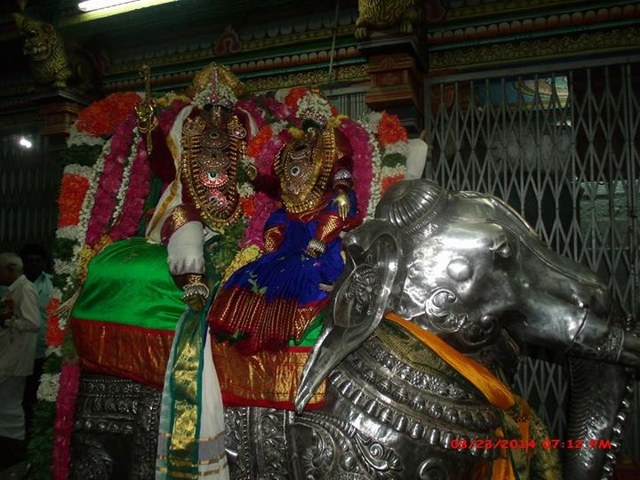 Oppilliappan Kovil Temple Brahmotsavam Yanai vahanam  2014 -01