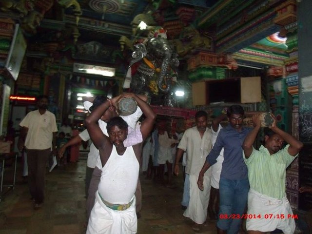 Oppilliappan Kovil Temple Brahmotsavam Yanai vahanam  2014 -02