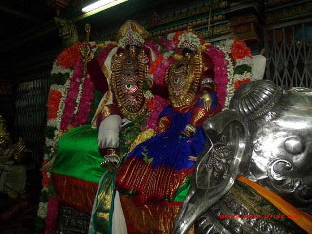 Oppilliappan Kovil Temple Brahmotsavam Yanai vahanam  2014 -03