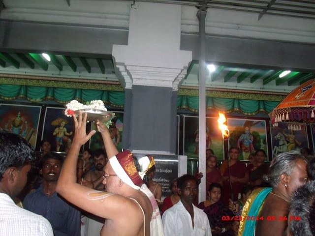 Oppilliappan Kovil Temple Brahmotsavam Yanai vahanam  2014 -10