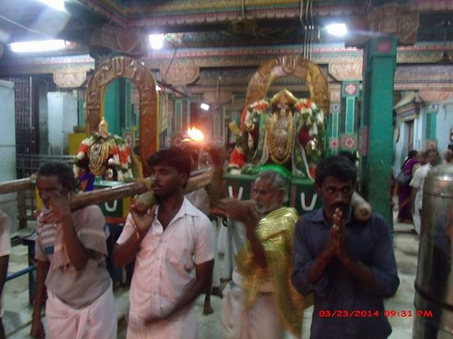 Oppilliappan Kovil Temple Brahmotsavam Yanai vahanam  2014 -11