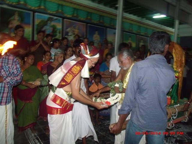 Oppilliappan Kovil Temple Brahmotsavam Yanai vahanam  2014 -12