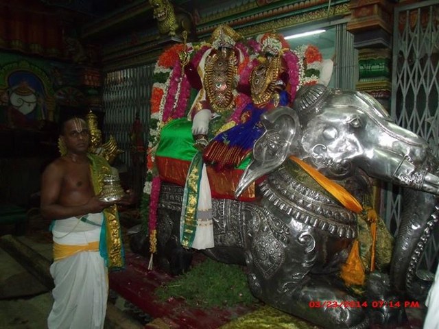 Oppilliappan Kovil Temple Brahmotsavam Yanai vahanam  2014 -23