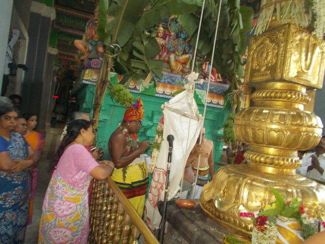 Oppilliappan Temple Dvajarohanam 2014 -04