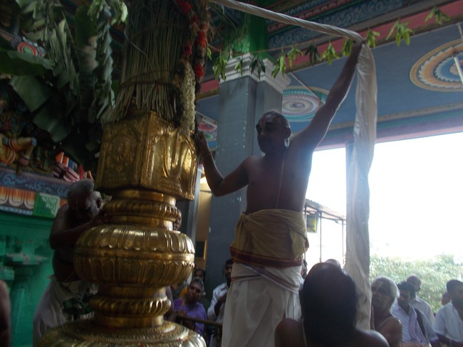 Oppilliappan Temple Dvajarohanam 2014 -11