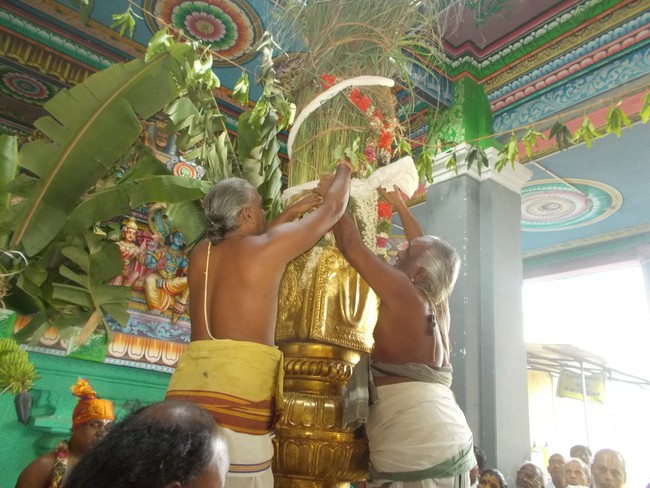 Oppilliappan Temple Dvajarohanam 2014 -13