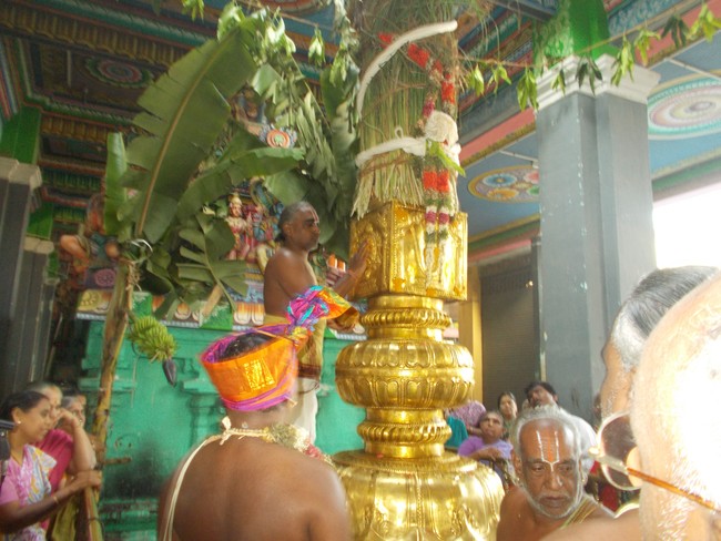 Oppilliappan Temple Dvajarohanam 2014 -14