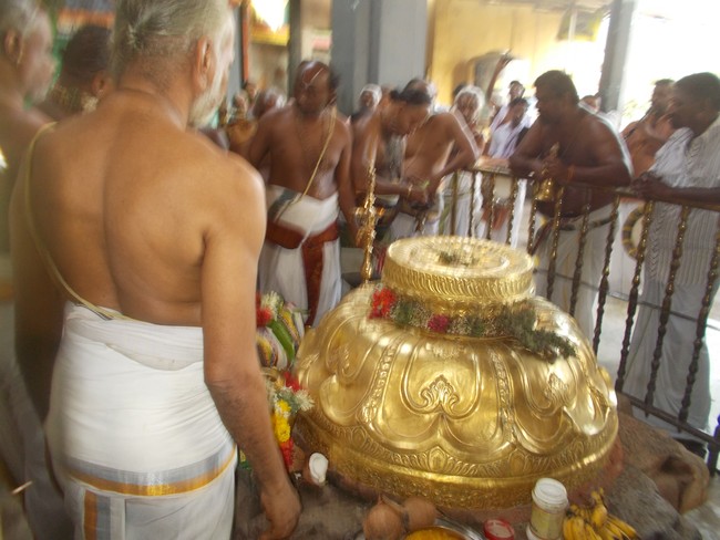 Oppilliappan Temple Dvajarohanam 2014 -15