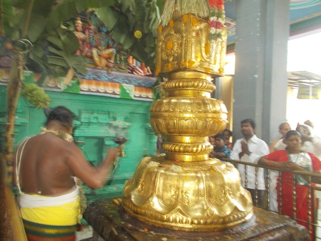 Oppilliappan Temple Dvajarohanam 2014 -17