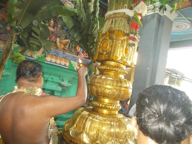 Oppilliappan Temple Dvajarohanam 2014 -18