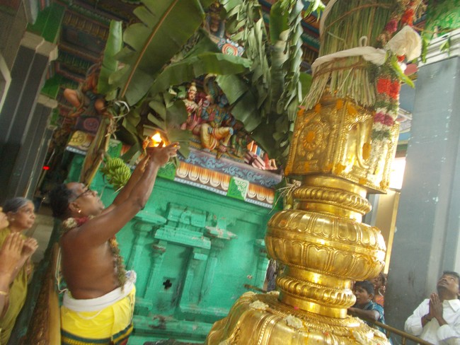 Oppilliappan Temple Dvajarohanam 2014 -20