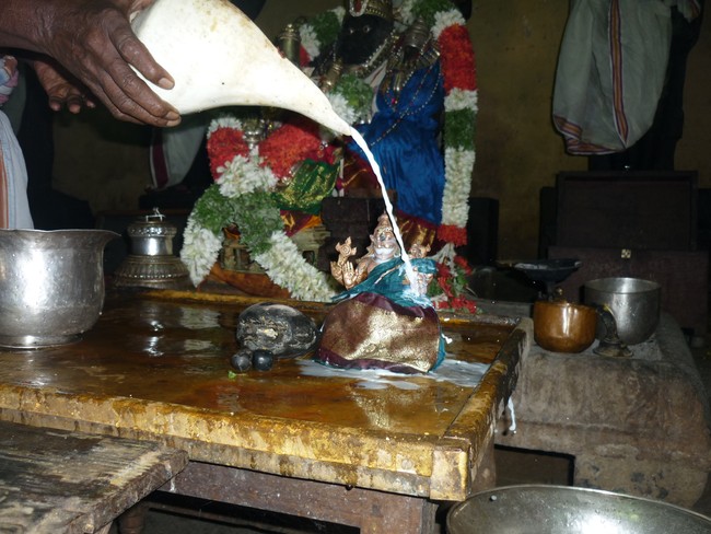 Panguni Hastha Thirumanjanam at Dasavathara Sannathi 2014 -07