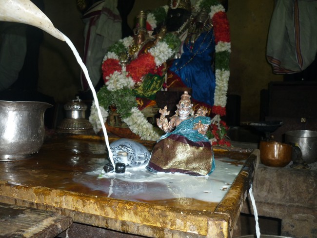 Panguni Hastha Thirumanjanam at Dasavathara Sannathi 2014 -09