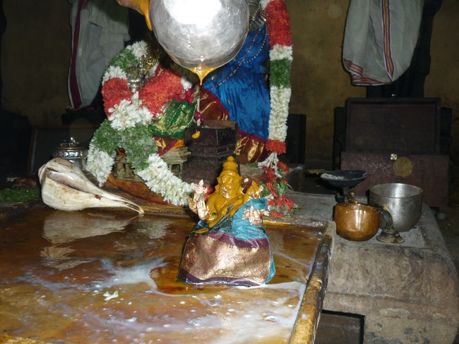 Panguni Hastha Thirumanjanam at Dasavathara Sannathi 2014 -10