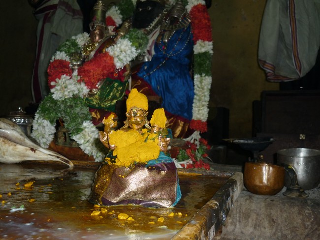Panguni Hastha Thirumanjanam at Dasavathara Sannathi 2014 -14