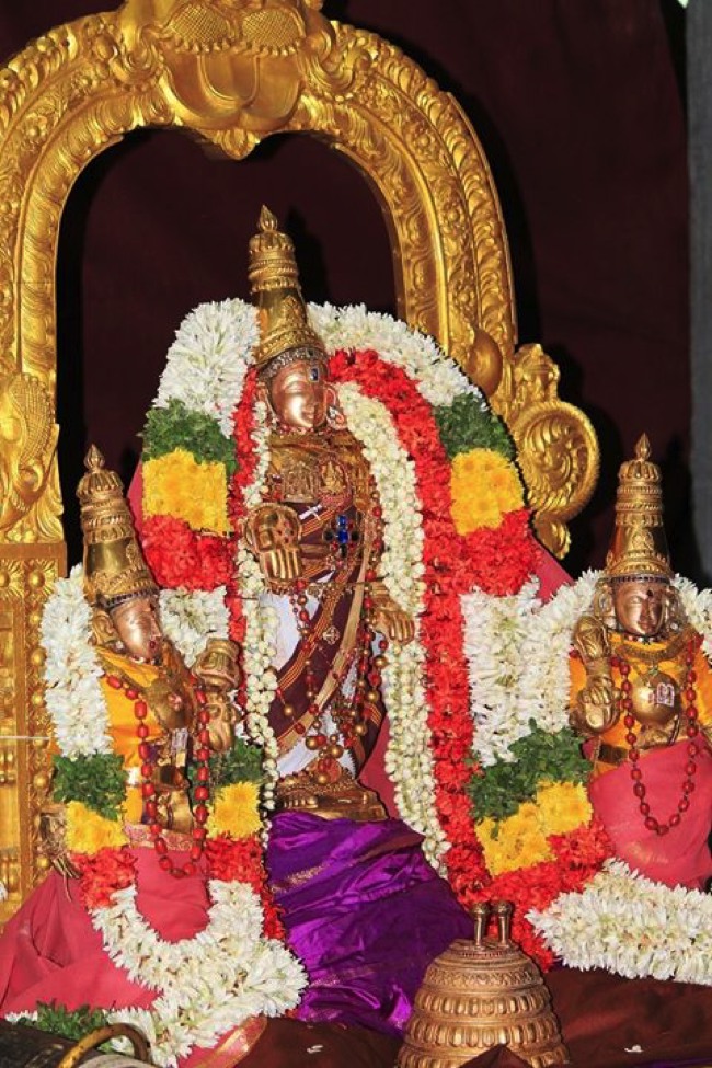 SVDD Srinivasa Perumal Ekadasi Purappadu  2014--09