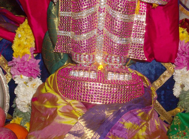 Srimath Andavan Vijayam  At Nanganallur39