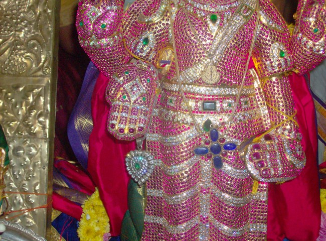 Srimath Andavan Vijayam  At Nanganallur40
