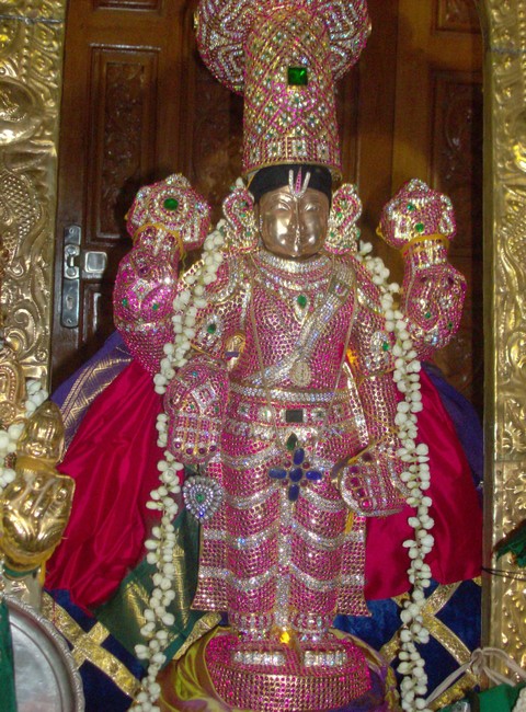 Srimath Andavan Vijayam  At Nanganallur6