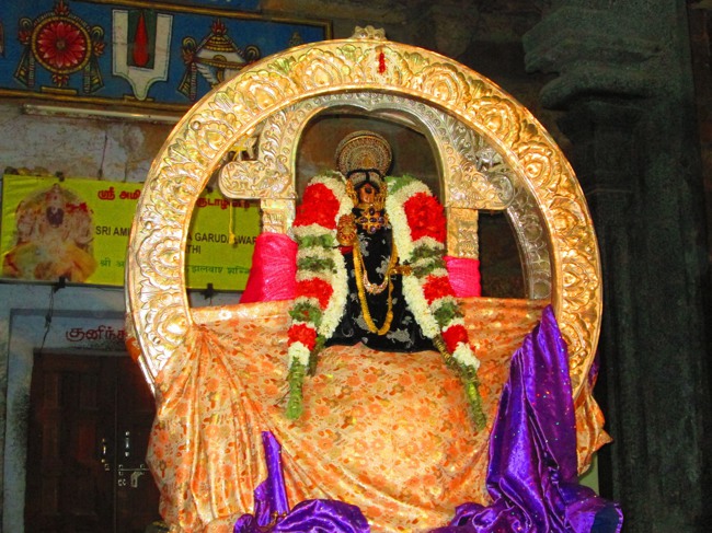 Srirangam Masi Theppotsavam Irattai Prabhai 2014--29