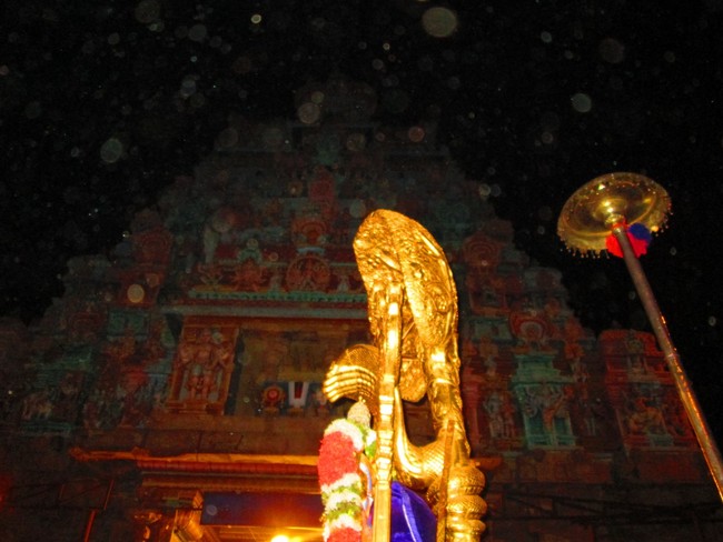 Srirangam Masi Theppotsavam  Karpaga Vriksham 2014 -06
