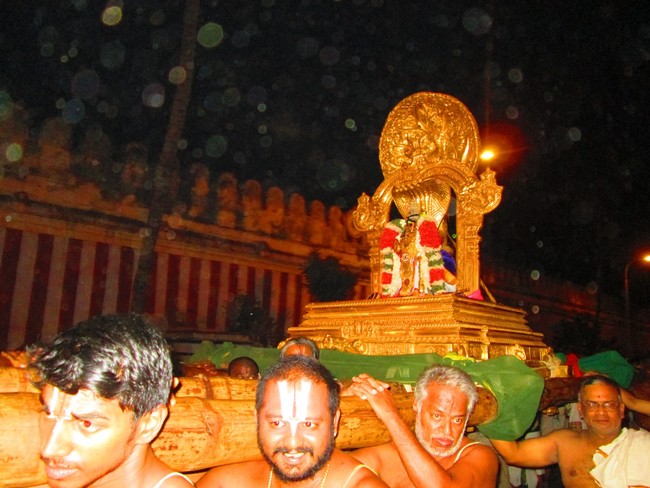 Srirangam Masi Theppotsavam  Karpaga Vriksham 2014 -11