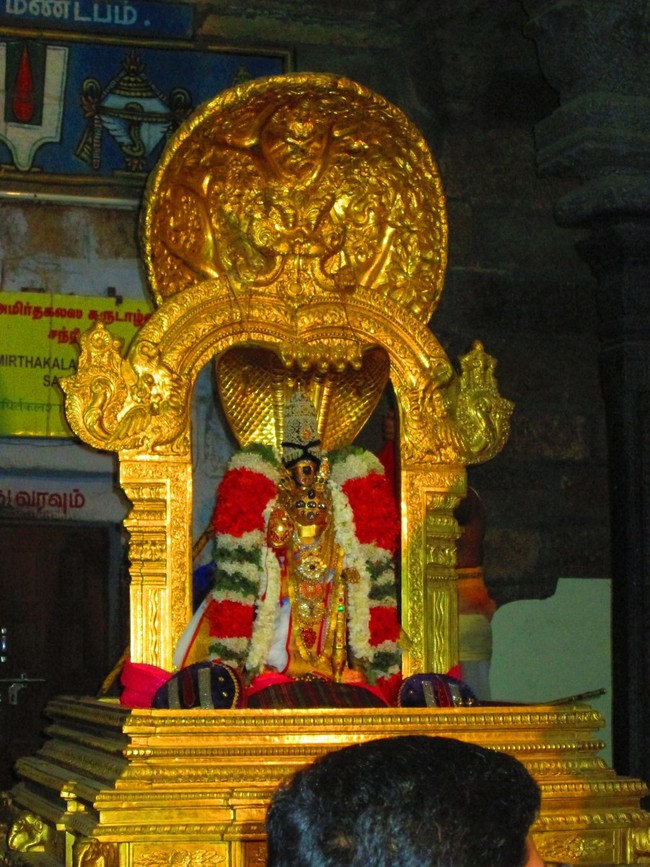 Srirangam Masi Theppotsavam  Karpaga Vriksham 2014 -21